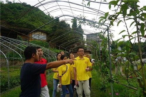 瓜瓜基地,绿色生态农业的璀璨明珠
