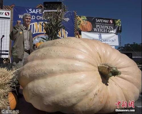 网红大瓜排行 每日大赛,每日大赛盘点，热点事件一网打尽！